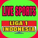 Liga Indonesia 1 -Live Streaming match APK