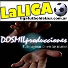 Liga Futbol Del Sur icône