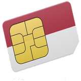 SIM CARD Information icône