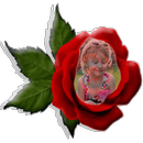 Red Rose Photo Montage APK
