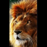 Lion Wallpaper capture d'écran 3