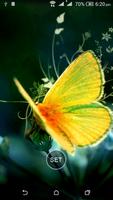 HD Wallpaper : Butterfly Screenshot 3