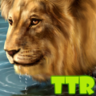 آیکون‌ lions live wallpapers