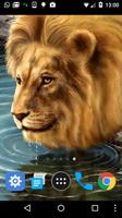 برنامه‌نما lions live wallpapers عکس از صفحه