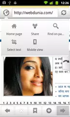 SETT Hindi Marathi browser APK download