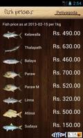Sri Lanka Fish Prices पोस्टर