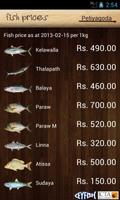 Sri Lanka Fish Prices الملصق