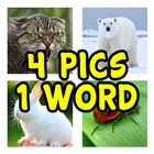 Guess The Word: 4 Pics 1 Word icon