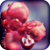 Escape: An Old Promise APK