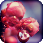 Escape: An Old Promise icon