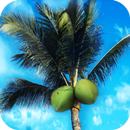 Escape: Castaway-APK