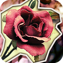 Escape: Secret Garden APK