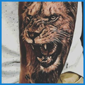 Lion Tattoo