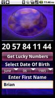Lucky Numbers Fortune Lotto screenshot 1