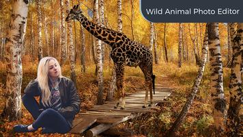 Wild Animal Photo Ediotr poster