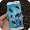 Bug in Phone Joke APK
