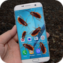 Bug in Phone Joke APK