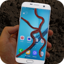Earthworm in Phone Joke APK