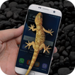Gecko in Phone Joke