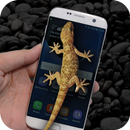 Gecko in Phone Joke APK