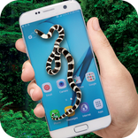 Snake on Screen Scary Joke