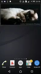 Cat Pictures APK download