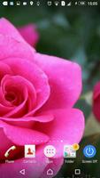 Gardener's roses capture d'écran 1