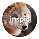 Inspic Wolfs Wallpapers HD APK