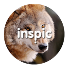 Inspic Wolfs Wallpapers HD 图标