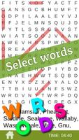 Compose the Word screenshot 1