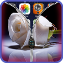 Rose  Roses zipper lock screen APK