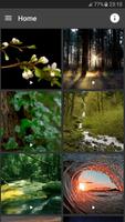 Nature Live (GIF) Wallpapers Affiche