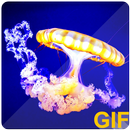 Ocean Live (GIF) Wallpapers-APK