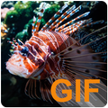 Fischen leben Tapeten