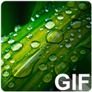 Water Drop Live(GIF) Wallpaper APK