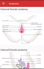 Sex Education APK download