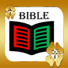 La Santa Biblia icône