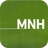 Museo Naturaleza y Hombre APK