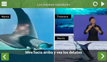 Museo Naturaleza y Hombre screenshot 2