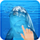 Dolfin Magic Touch Dance Live Wallpaper HD APK