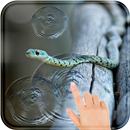 Magic Touch Snake Live Wallpaper HD APK