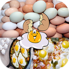 recettes d'œufs 2017 आइकन