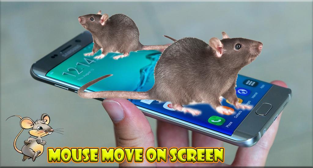 Move mouse como funciona