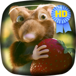 Mouse With Strawberries LiveWP