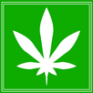 Weed Scanner APK