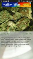 Weed Scanner скриншот 2