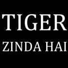 Lyrics For Tiger Zinda Hai Songs icône