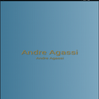 Andre Agassi icon
