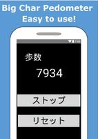 Big Char Pedometer poster