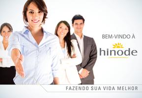 Hinode Consultor Plakat